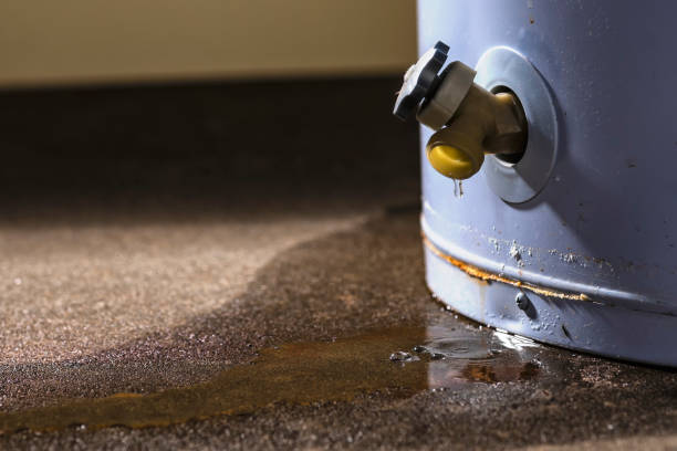 High Ridge, MO Water damage restoration Company
