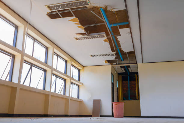 Water damage restoration mold remediation in High Ridge, MO