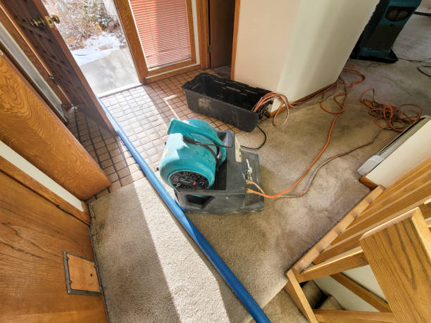 Best 24-hour water damage restoration  in High Ridge, MO