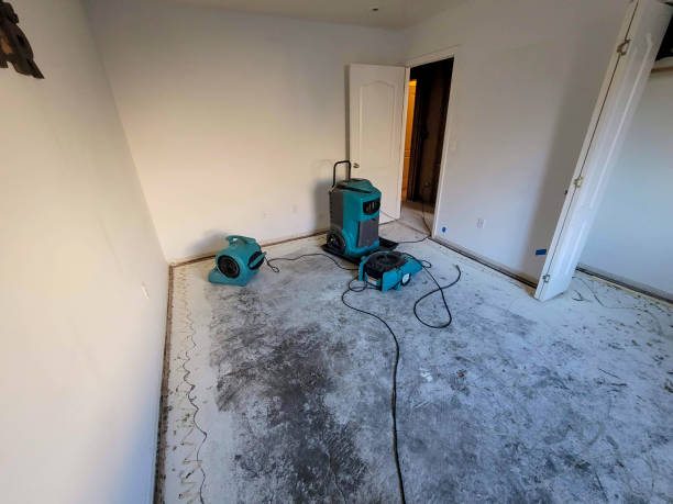 Best Water damage contractors near me  in High Ridge, MO