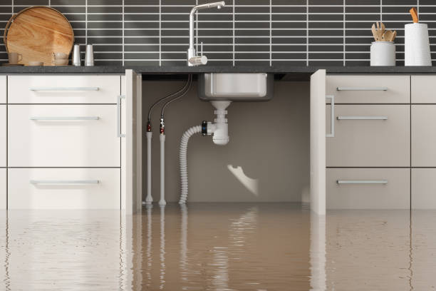 Best Water damage restoration near me  in High Ridge, MO