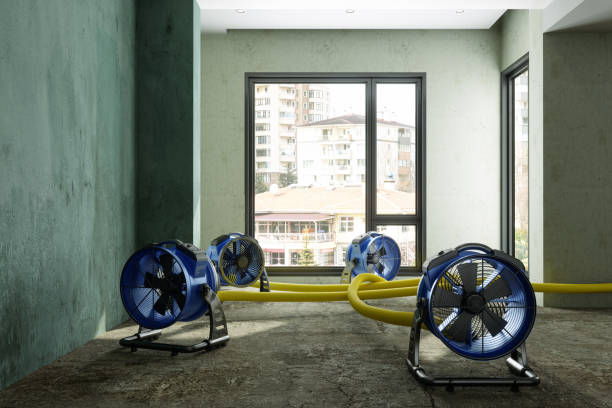 Best Ceiling water damage repair  in High Ridge, MO