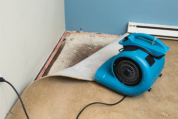 Best Carpet water damage restoration  in High Ridge, MO