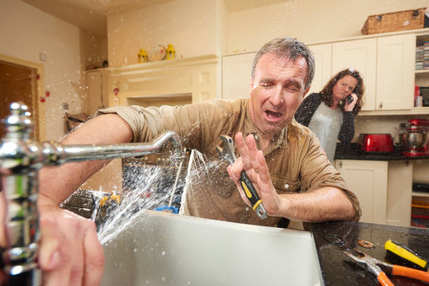 Best Flood restoration services  in High Ridge, MO
